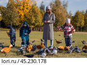 A family with three children. A mother with many children and kids in the autumn park. Children play outdoors and feed pigeons and ducks. Having many children and family values. Стоковое фото, фотограф Photojuli / Фотобанк Лори