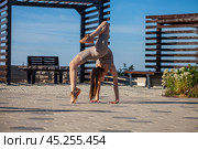 A young woman in a tracksuit performs physical exercises in a summer park. Стоковое фото, фотограф Андрей Аркуша / Фотобанк Лори