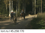 Семья коневодов. Стоковое фото, фотограф Вячеслав Филиппов / Фотобанк Лори