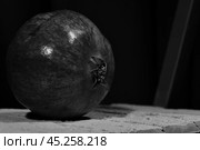 Гранат. Стоковое фото, фотограф Евгений Моржин / Фотобанк Лори