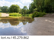 Летний пейзаж с рекой в лесу. Стоковое фото, фотограф Пучков Андрей Александрович / Фотобанк Лори