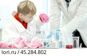 a student in a chemical laboratory conducts chemical sweats with chemical elements. Стоковое фото, фотограф Igor Skripachev / Фотобанк Лори