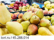 fresh vegetarian healthy organic freshness green background ripe food pear fruit agriculture diet. Стоковое фото, фотограф ilya Lyubchenko / Фотобанк Лори