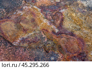Stone texture. Rough, unprocessed red and orange stone surface. Natural, earthy tones vibrant backdrop. Ideal for background. Textured, raw, and visually striking. Стоковое фото, фотограф Павел Муравьев / Фотобанк Лори