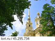 Собор святых апостолов Петра и Павла (Петропавловский собор) в Санкт-Петербурге (2023 год). Стоковое фото, фотограф Александр Тараканов / Фотобанк Лори
