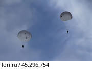 Two skydivers glide down from the cloudy sky, their parachutes fully unfurled. They gracefully navigate through the air, preparing for their landing. Стоковое фото, фотограф Алексей Климкин / Фотобанк Лори