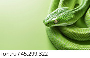 Background, green snake with free space for text. Стоковое AI-изображение, AI-художник Елена Зубкова / Фотобанк Лори