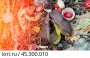 A pile of trash with a banana peel and a broken eggshell. Стоковое фото, фотограф Скрипачев Антон / Фотобанк Лори