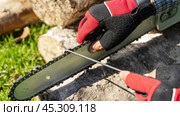 master sharpens a chain on a chainsaw. Стоковое фото, фотограф Igor Skripachev / Фотобанк Лори