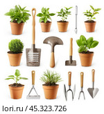 Gardening tools and plants forming a still life on white background. Стоковое AI-изображение, AI-художник Иван Рябоконь / Фотобанк Лори