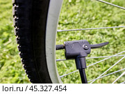 Bicycle pump valve head connector schrader and presta adapter air pressure cycle bike. Стоковое фото, фотограф Владимир Григорьев / Фотобанк Лори
