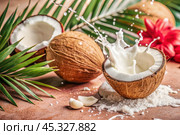 Splashes of coconut milk and palm leaves. Coconuts with a milky shade on a light background. A banner for sweets, spa cosmetics or body and face care creams. Стоковое AI-изображение, AI-художник Photojuli / Фотобанк Лори