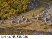 Autumn mountain slope with avalanche protection structure of many pyramids. Стоковое фото, фотограф Роман Дзюбало / Фотобанк Лори