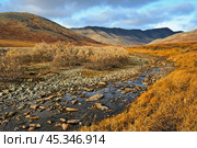 Autumn landscape. Creek in a mountain valley. Autumn season in the tundra. Traveling and hiking in the Arctic and in the far north of Russia. Golden Ridge, Chukotka, Siberia, Russian Far East. Стоковое фото, фотограф Андрей Степанов / Фотобанк Лори