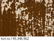 Brown peeling paint on the wall. Old concrete wall with cracked flaking paint. Weathered rough painted surface with patterns of cracks and peeling. High resolution texture for background and design. Стоковое фото, фотограф Андрей Степанов / Фотобанк Лори