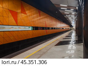 Платформа станции метро "Генерала Тюленева" Троицкой линии. Редакционное фото, фотограф Алёшина Оксана / Фотобанк Лори