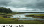 Lush green marshes along the calm waters on a cloudy day in a tranquil coastal area. Стоковое AI-изображение, AI-художник Сергей Толмачёв / Фотобанк Лори