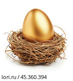 Golden egg nestling securely in bird nest representing investment and savings. Стоковое AI-изображение, AI-художник Иван Рябоконь / Фотобанк Лори