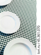 the plate on checkered table cloth. Стоковое фото, фотограф Сергей Толмачёв / Фотобанк Лори