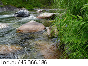 Камни в воде. Стоковое фото, фотограф Анастасия Волкомурова / Фотобанк Лори
