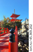 Парк Краснодар. Японский сад. Krasnodar Park. Japanese garden. Стоковое фото, фотограф Алла Толочек / Фотобанк Лори