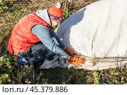 Winter Protection for Garden, winter shelter for garden plants, shelter rhododendrons. Стоковое фото, фотограф Ольга Сейфутдинова / Фотобанк Лори