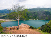Picturesque view of the mountain lake Gizhgit with azure water and a lonely tree on the shore. Caucasus. Стоковое фото, фотограф Константин Лабунский / Фотобанк Лори