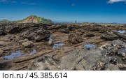 Littoral at low tide. Attached mollusks are visible on exposed rocks. Puddles of water among the boulders. A tiny silhouette of a man walking in the distance. Hill against the blue sky, clouds. Стоковое фото, фотограф Вера Ивановна Кубарева / Фотобанк Лори
