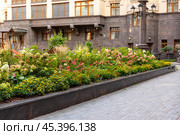 Modern apartment block. Landscaping for urban spaces. Pedestrian path to entrance of multi-storey residential building. Eco-friendly condominium with green courtyard. Condo house complex. Landscaping. Стоковое фото, фотограф Ирина Михайличенко / Фотобанк Лори