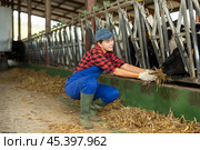 Positive girl takes armful of straw from pile with hands and gives it to cows. Стоковое фото, фотограф Яков Филимонов / Фотобанк Лори