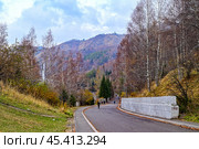 Горная дорога. Медео. Алматы. Республика Казахстан. Стоковое фото, фотограф Александр Тараканов / Фотобанк Лори