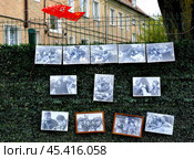 Фотографии эпизодов  советских фильмов о войне на маскировочной сети в День Победы. Калининград (2017 год). Редакционное фото, фотограф Ирина Борсученко / Фотобанк Лори