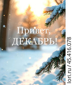 Надпись "Привет, декабрь" на фоне зимнего леса. Заснеженные ветки деревьев. Стоковое AI-изображение, AI-художник Оксана / Фотобанк Лори