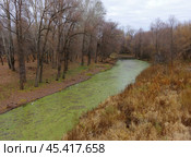 Старица реки Ирбитка (Ирбит). Город Ирбит, Свердловская область. Стоковое фото, фотограф Алексей Иванов / Фотобанк Лори