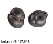 Cassiterite fragment of a kidney-shaped aggregate. Стоковое фото, фотограф Константин Григорьев / Фотобанк Лори