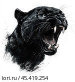 Aggressive black panther with wide open mouth, showing powerful fangs. This portrait conveys the power, danger and grace of a wild predator. The image is made in the style of an artistic drawing with an emphasis on the details of the fur, muscles and expressive eyes of the panther. The white background emphasizes the dark tones of the fur and makes the image more contrasting and impressive. Стоковое AI-изображение, AI-художник Анна Кривицкая / Фотобанк Лори