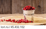 ripe lingonberries in a decorative bucket on a wooden background. Стоковое фото, фотограф Igor Skripachev / Фотобанк Лори
