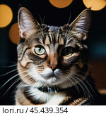 This beautiful cat with striking green eyes appears calm and composed. Its fur glistens against a blurred background, adding to its charm. Cats Felis are a genus of predatory mammals. Generative AI. Стоковое AI-изображение, AI-художник Юлия Петровская / Фотобанк Лори
