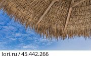 A fragment of a thatched sun umbrella against a background of blue sky and white clouds. You can see the weaving, the tassels of straw in the wind. Upper right corner. Bottom-up view. Стоковое фото, фотограф Вера Ивановна Кубарева / Фотобанк Лори