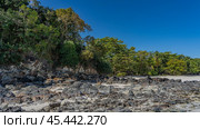 Littoral at low tide. Boulders are scattered on the sandy coast. Thickets of palm trees, tropical vegetation along the beach. Clear blue sky. Madagascar. Nosy Tanikeli. Copy space. Стоковое фото, фотограф Вера Ивановна Кубарева / Фотобанк Лори