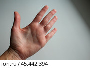 Крупный план женской ладони, хиромантия. Стоковое фото, фотограф Hanna Shapialevich / Фотобанк Лори