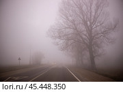 Thick impenetrable fog in the morning on a winter day on the road with bare trees, dramatic mysterious mood. Стоковое фото, фотограф Коханова Наталья / Фотобанк Лори