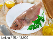 Raw megrim fish served with parsley. Стоковое фото, фотограф Яков Филимонов / Фотобанк Лори