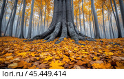 The old oak, like the guardian of the park, silently observes the people passing by. Its bark, cracked and rough, tells of the many years it has lived through. The bare, black branches reach towards the sky, as if begging for a last ray of sun. Стоковое AI-изображение, AI-художник Ярославский Максим / Фотобанк Лори