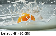 Egg yolk splashing in milk creating a crown shape. Стоковое AI-видео, аниматор Юрий Поздников / Фотобанк Лори