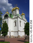 Екатерининский собор. Санкт-Петербург, город Пушкин, Соборная площадь, 1 (2019 год). Стоковое фото, фотограф Алексей Иванов / Фотобанк Лори