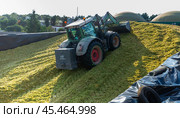 Tractor excavator forming pile of chopped fodder corn (2021 год). Редакционное фото, фотограф Яков Филимонов / Фотобанк Лори