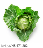 Fresh green cabbage with intact outer leaves lying on white background. Стоковое AI-изображение, AI-художник Иван Рябоконь / Фотобанк Лори