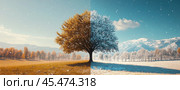 The contrast of the seasons and the weather in one frame. A tree in the middle of a field and against the background of mountains is covered with snow on one side and yellow leaves on the other. Стоковое AI-изображение, AI-художник Ярославский Максим / Фотобанк Лори