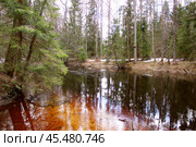 Весенний лесной пейзаж у реки. Редакционное фото, фотограф Бондарева Елена / Фотобанк Лори